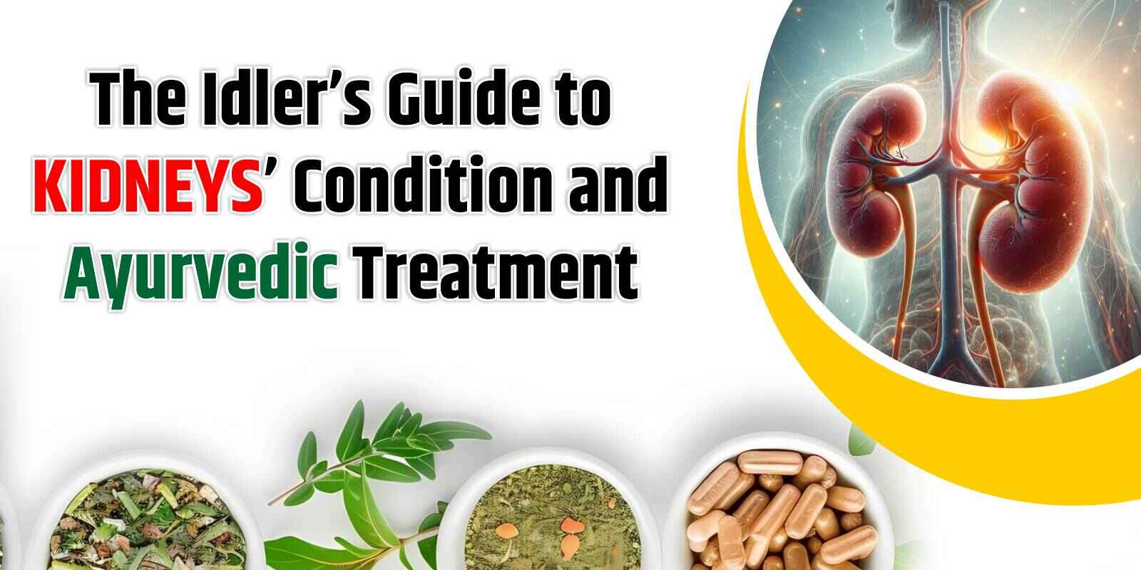 The Idler’s Guide to Kidneys’ Condition and Ayurvedic Treatment